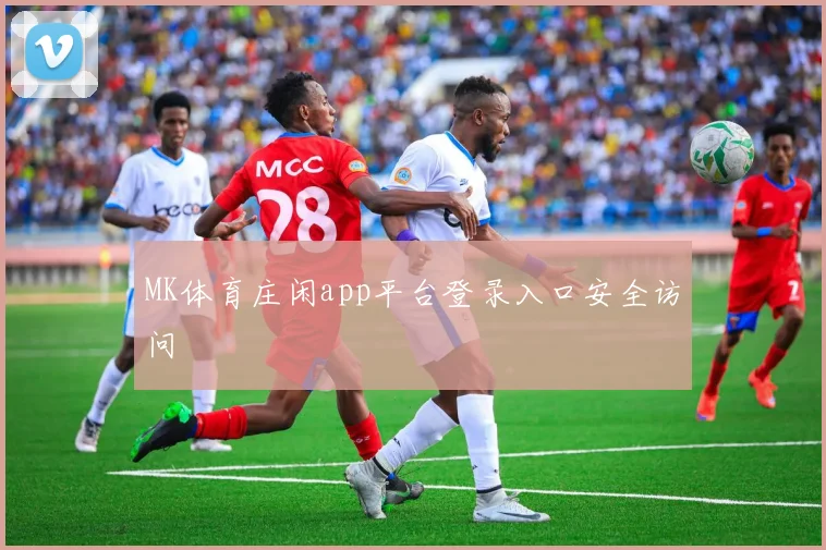 MK体育庄闲app平台登录入口安全访问