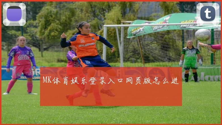 MK体育娱乐登录入口网页版怎么进