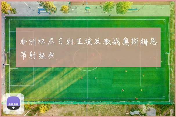 非洲杯尼日利亚埃及激战奥斯梅恩吊射经典